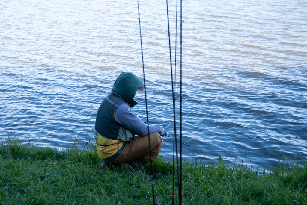 DSC_0290.jpg DSC_0290.jpg